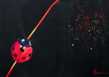 Ladybug