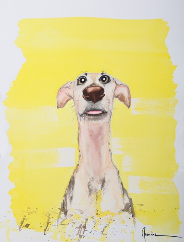 Yellow dog